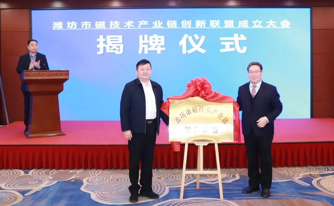 图片9